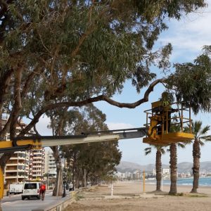 FOBESA mejora las zonas verdes de Benicàssim