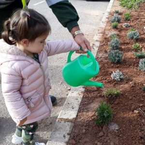 El Ayuntamiento de Benicàssim y FOBESA celebran el Día del Árbol con la plantación de aromáticas en la Escoleta Pintor Tasio